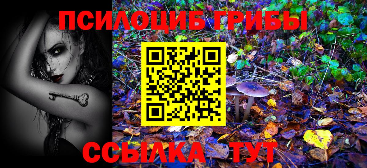 Псилоцибиновые грибы мухоморы  купить наркотик  Галлюциногенные грибы прущие грибы  Кулебаки  Вход с VPN 
